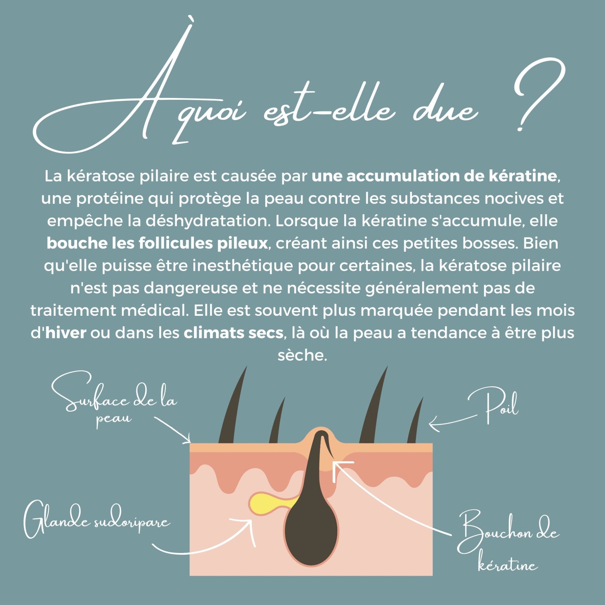 Origine de la kératose pilaire-Image3